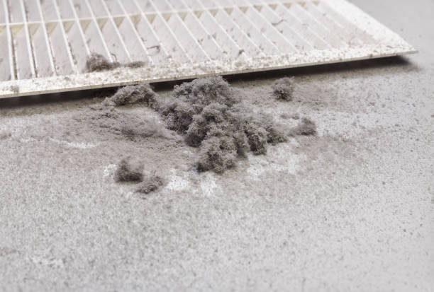 Best Dryer Vent Cleaning Services  in Opelika, AL