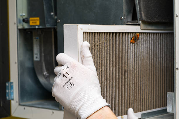 Best Home Air Vent Cleaning  in Opelika, AL